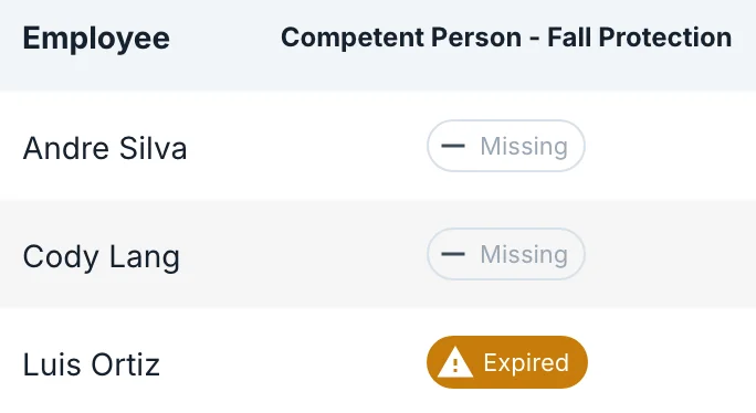 Competent Person – Fall Protection: Andre Silva missing, Luis Ortiz expired